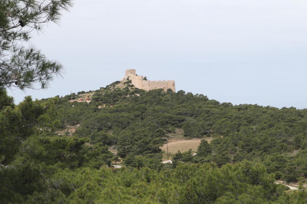 Echo Traditional House - Ηχώ Παραδοσιακό Σπίτι Embonas Экстерьер фото